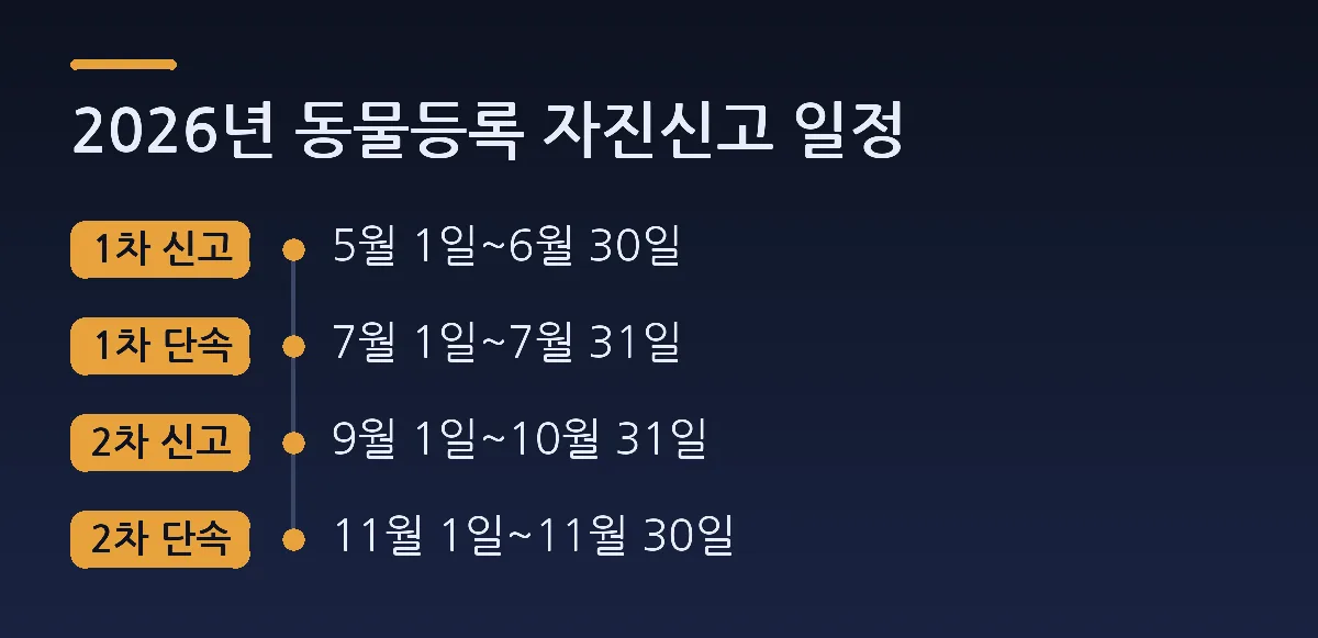2026년 동물등록 자진신고 일정: 1차 신고 5월 1일~6월 30일, 1차 단속 7월 1일~7월 31일, 2차 신고 9월 1일~10월 31일, 2차 단속 11월 1일~11월 30일